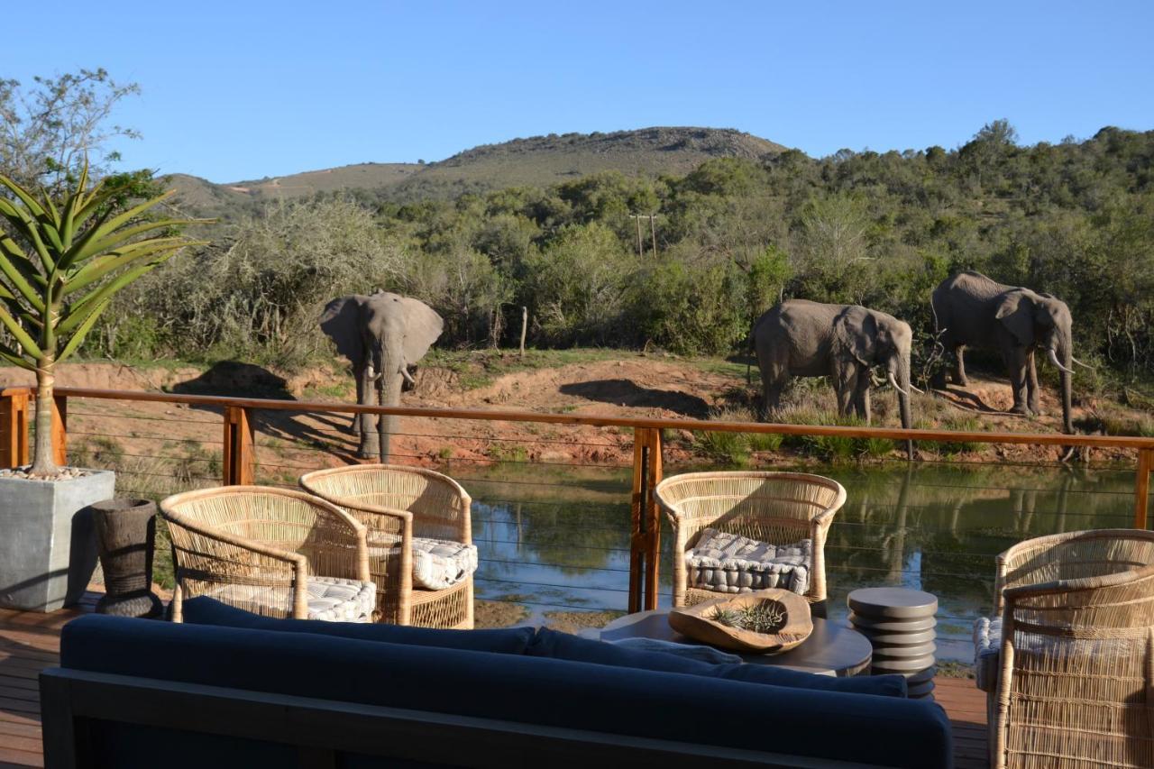 Barefoot Addo Elephant Lodge Eksteriør billede
